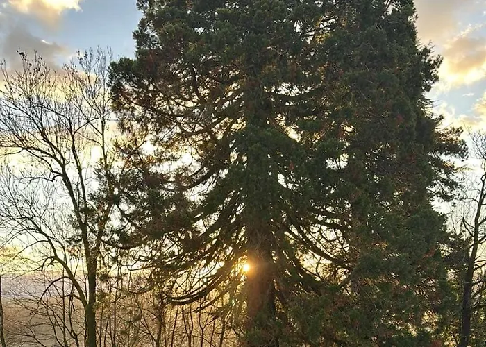 Villa Harmonie Cessieu