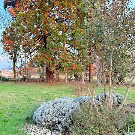 Harmonie Villa *